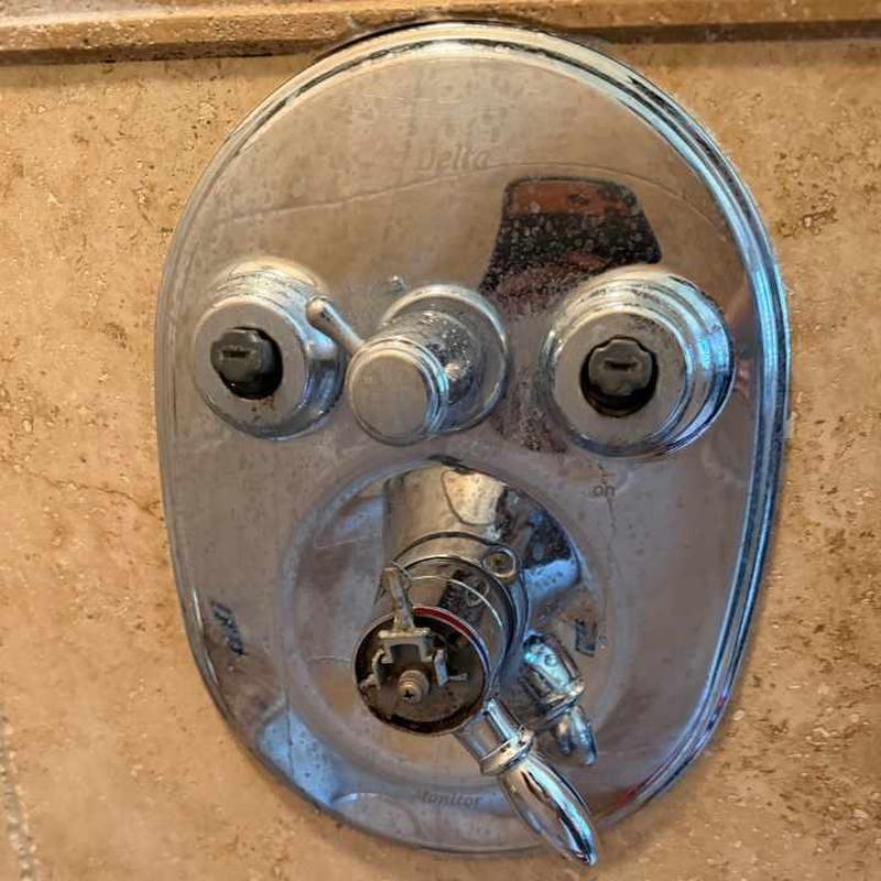 Delta shower stem and valve assembly in bathroom wall