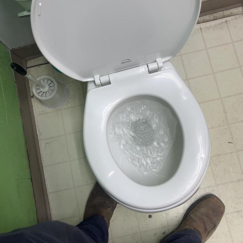 Toilet flushing properly after stoppage cleared in Boise