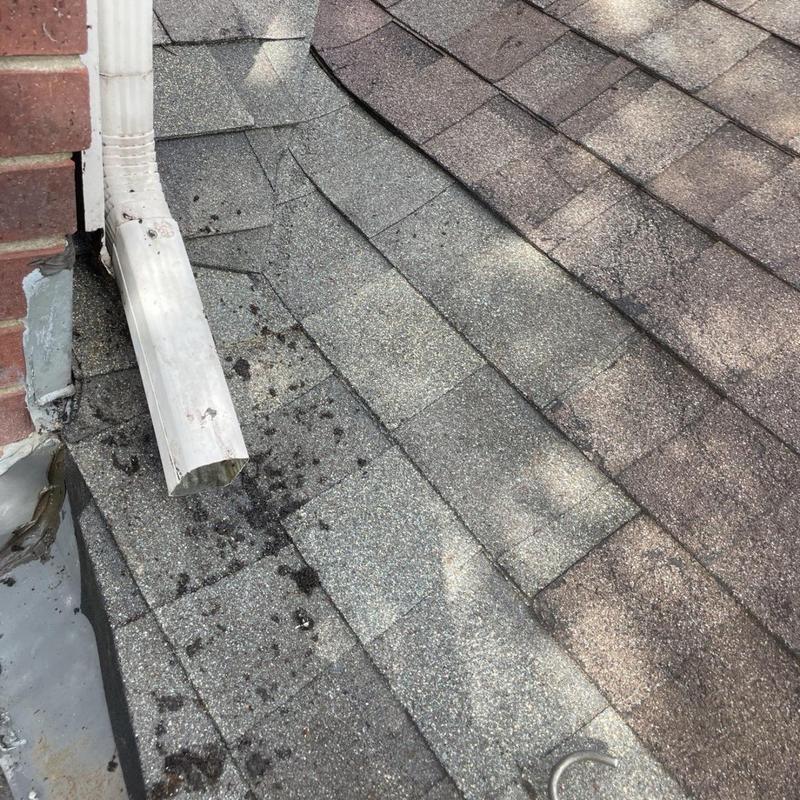 Gutter downspout and shingle roof damage