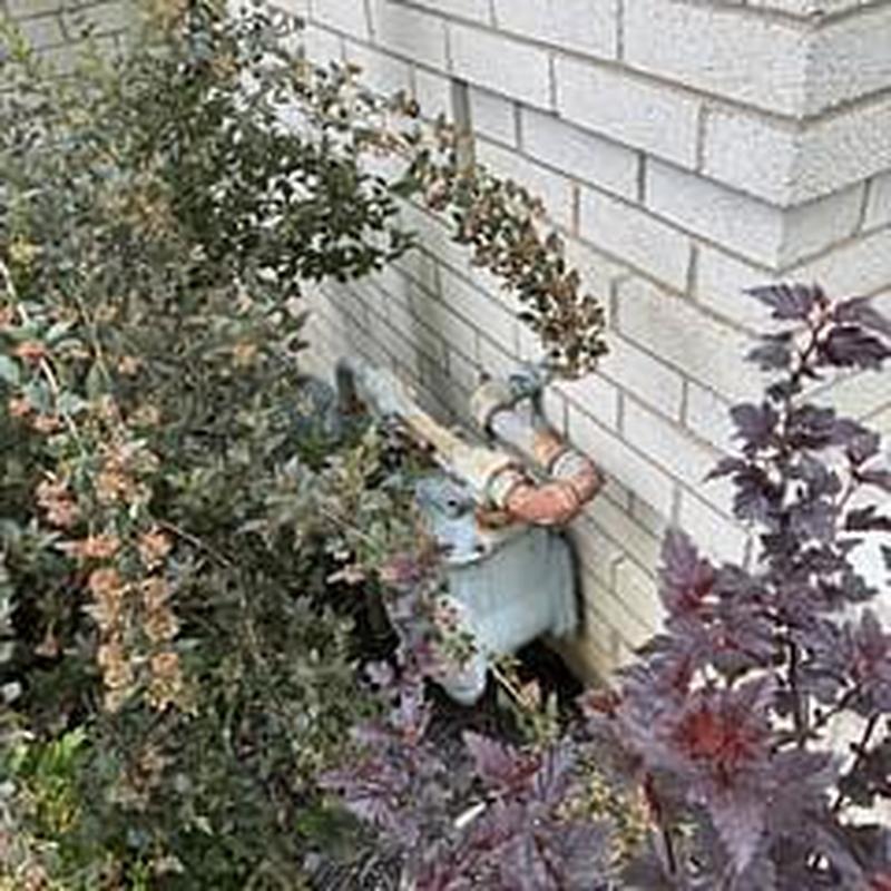 Gas meter and pipes beside brick house with shrubs