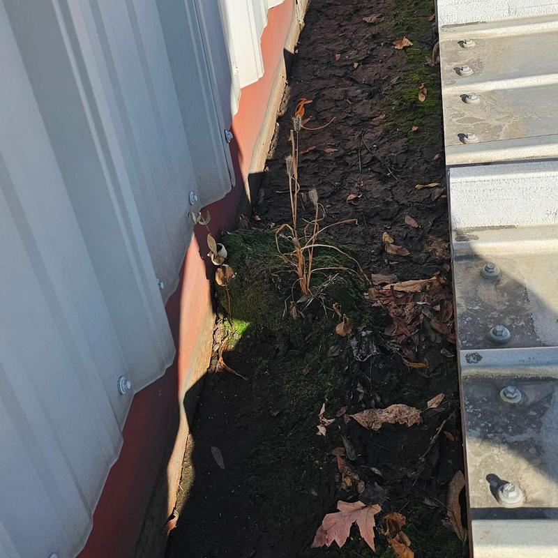 Roof drainage channel with moss and debris buildup