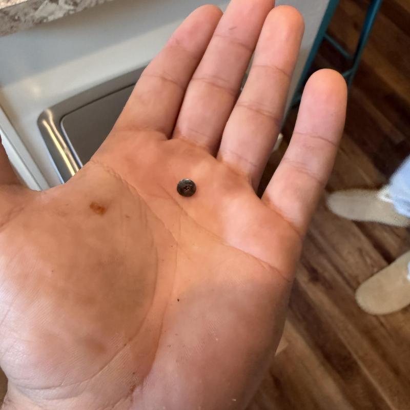 Garbage disposal screw removal in hand close-up