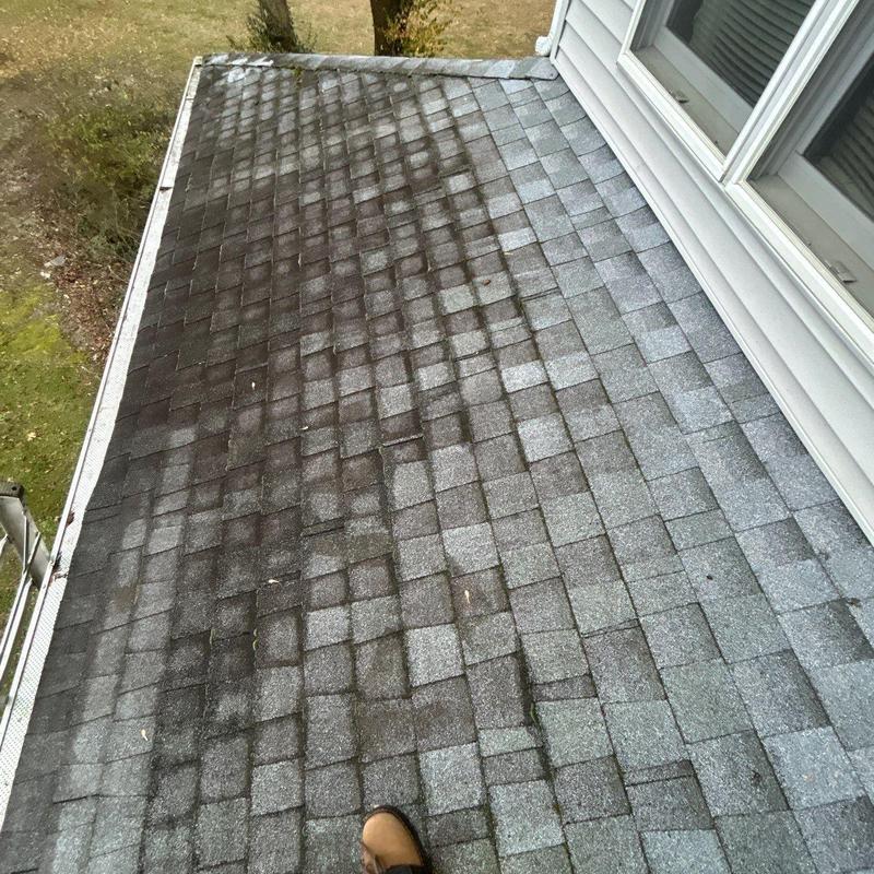 Asphalt shingle roof with discoloration and wear