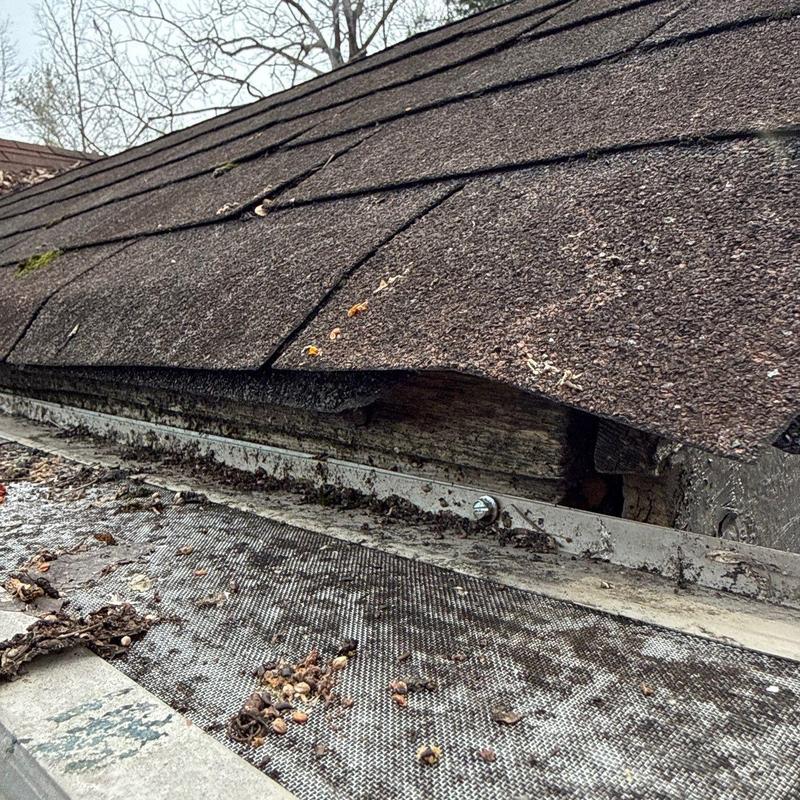 Roof shingles and ridge cap damage with gutter debris