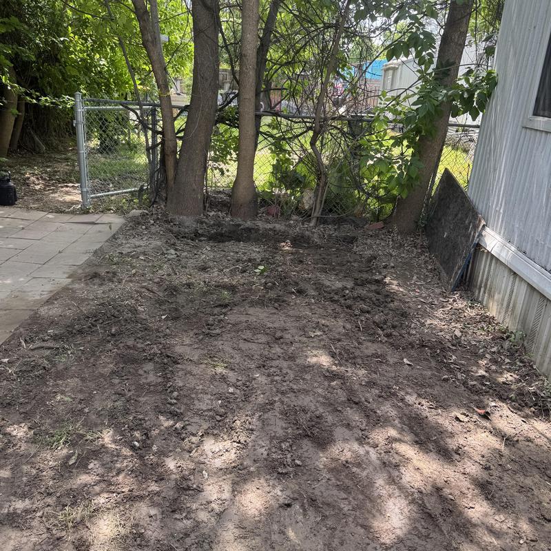Temporary fitting replacement and backfill area near trees