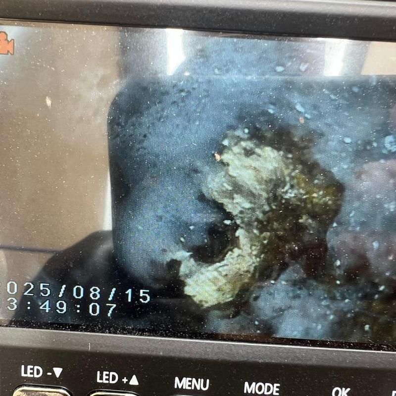 Kitchen sink drain grease buildup from camera inspection