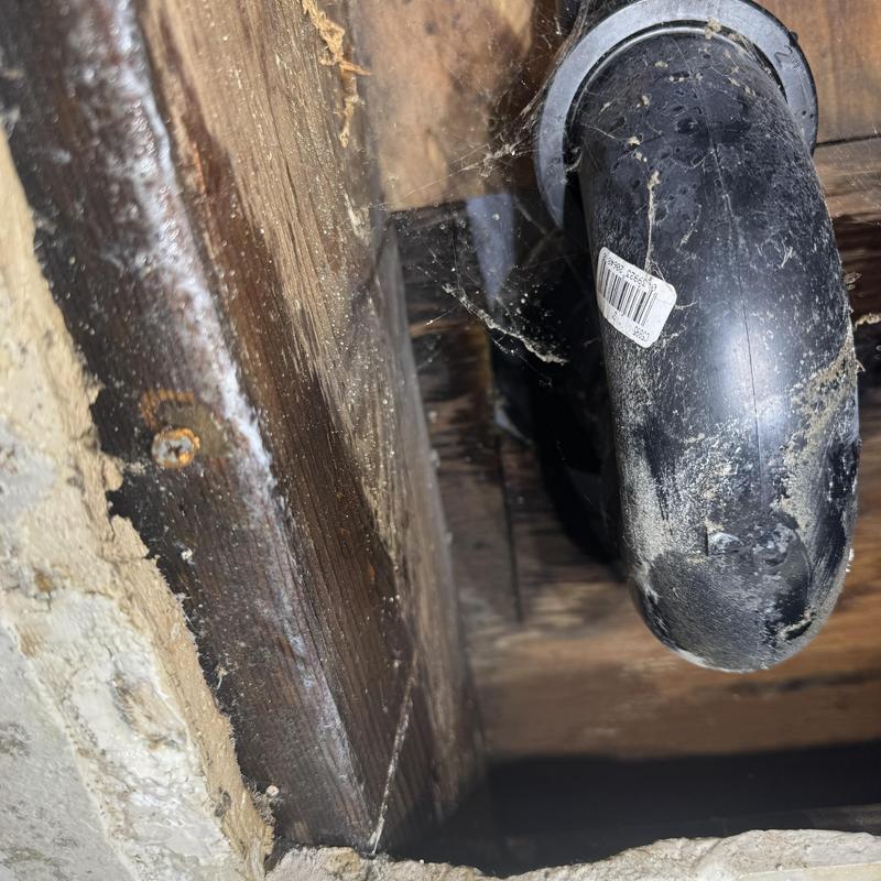 PVC drain pipe under floor joists with cobwebs
