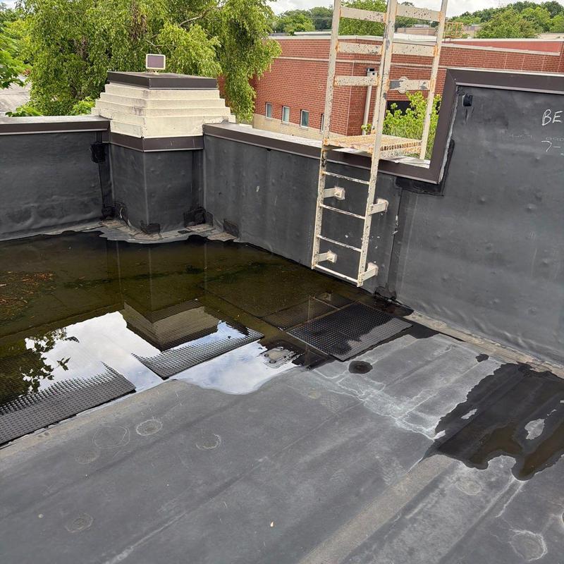 EPDM flat roof with ponding water and ladder access