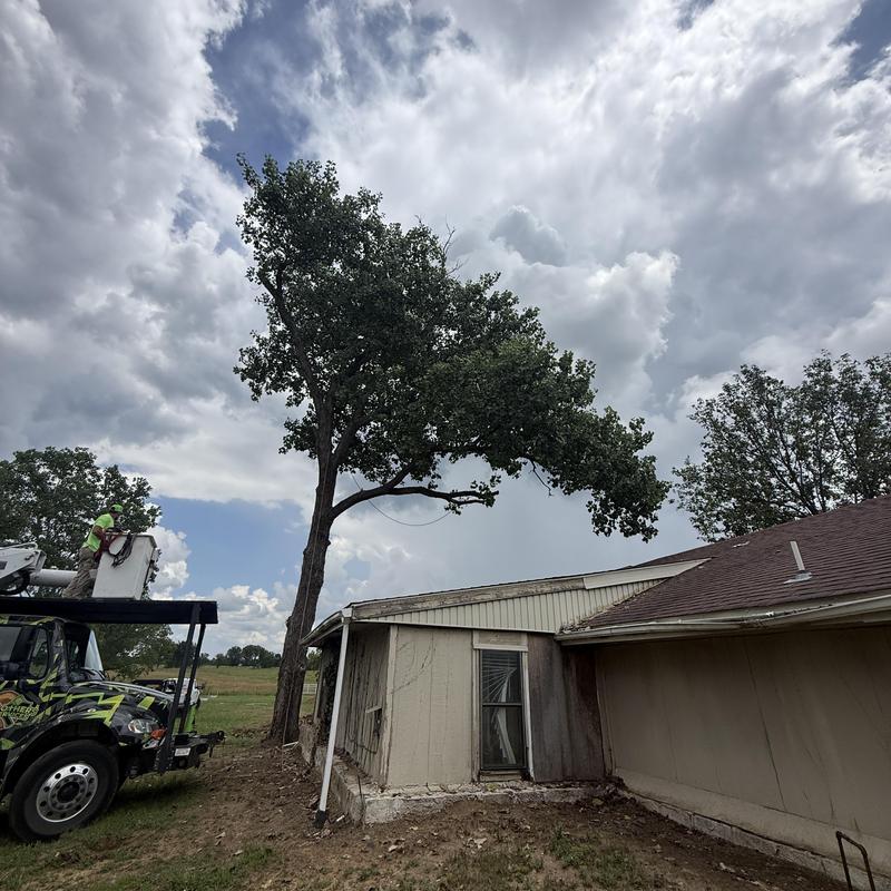 Hazardous tree removal over house with bucket truck Hazardous tree removal over house with bucket truck