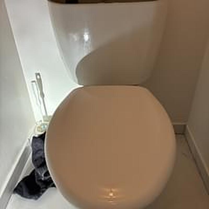 Toto Drake ADA elongated bowl toilet installation