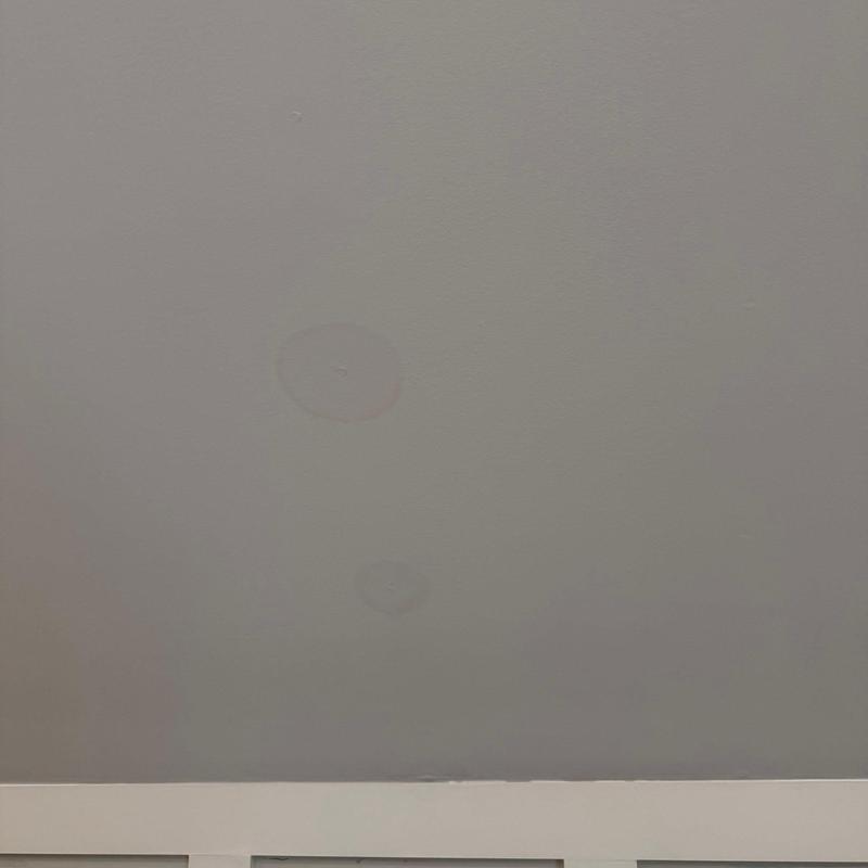 Ceiling drywall with water stains near trim molding