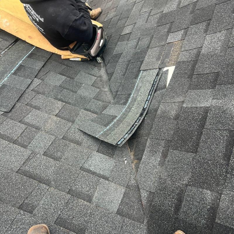 Asphalt shingle roof with damaged and lifted shingles