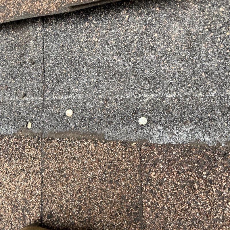 Roof shingles with hail damage and nail heads visible