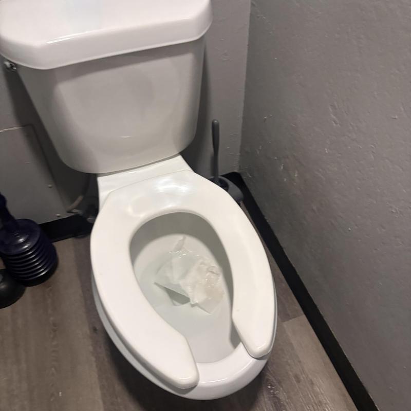 Toilet bowl with apparent main line backup blockage