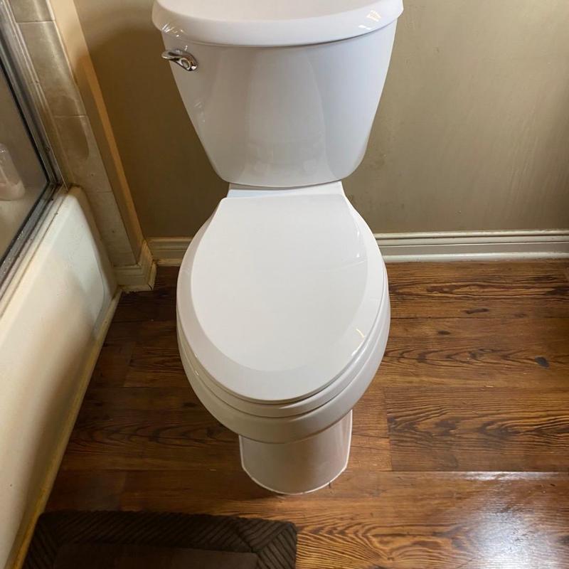 Toilet installation in bathroom with wood flooring