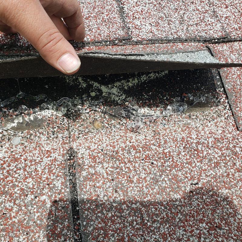 Asphalt shingle roof with lifted wind-damaged shingles Asphalt shingle roof with lifted wind-damaged shingles