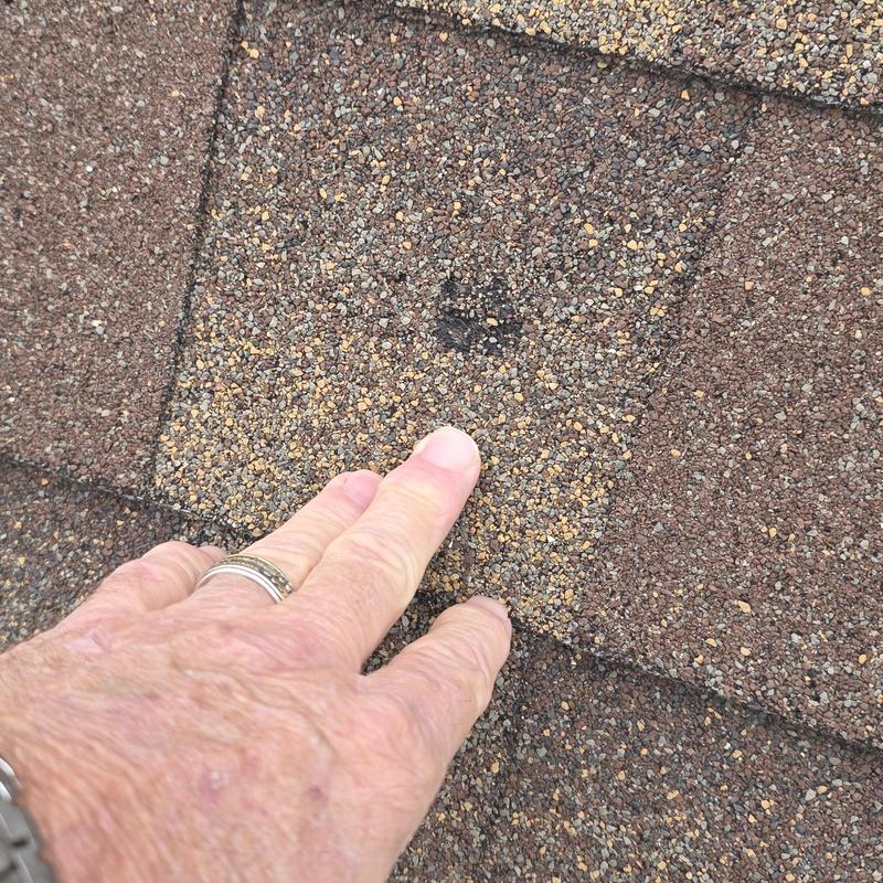 Asphalt roof shingle with hail damage mark and inspection finger