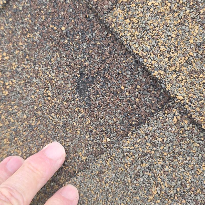 Asphalt shingle hail damage close-up in Terrell TX
