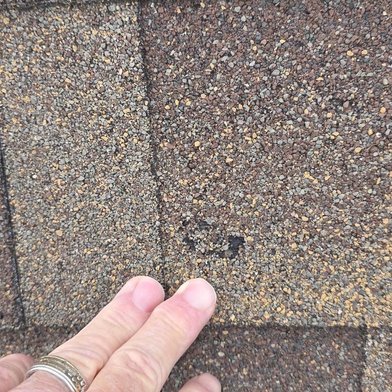 Asphalt shingle with hail damage marked by hand
