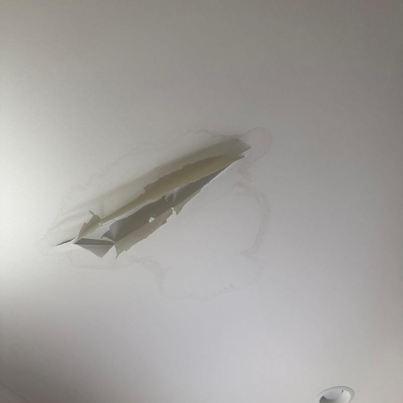 Ceiling drywall peeling and moisture damage