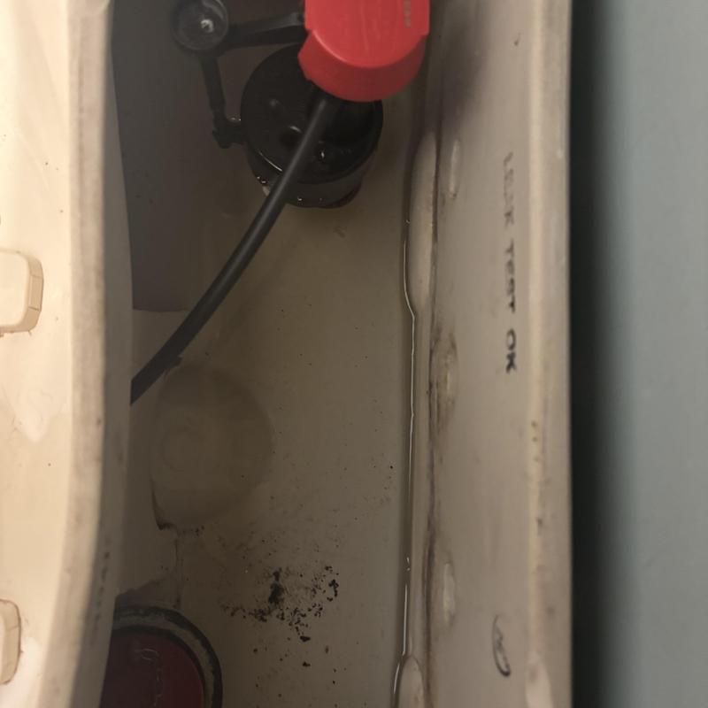 Toilet tank fill valve and flapper inside maintenance