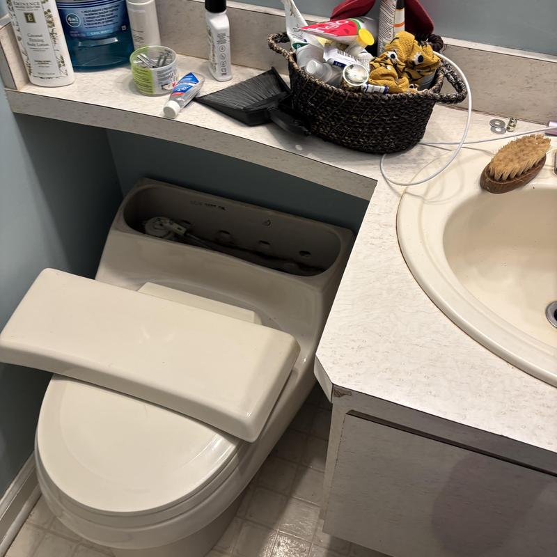 One-piece toilet with open tank lid and parts replaced
