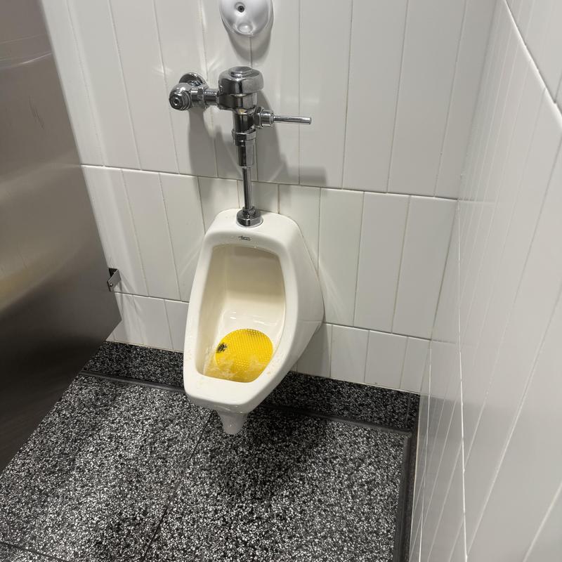 Urinal with yellow drain screen in public restroom