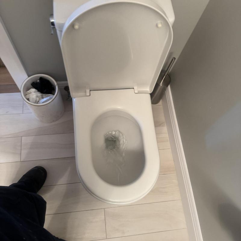 Toilet flushing test after wax ring replacement and recaulk