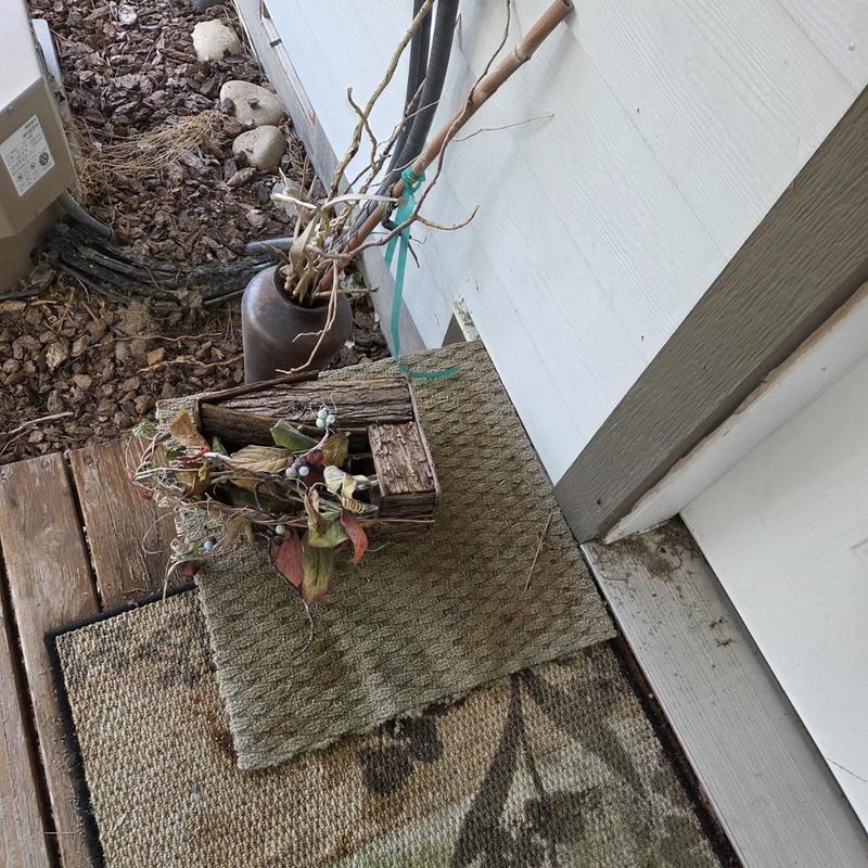 Blue poly water service leak at house exterior wall