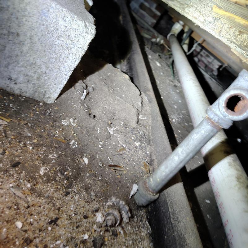 Cast iron sewer stack pipe with damage and debris