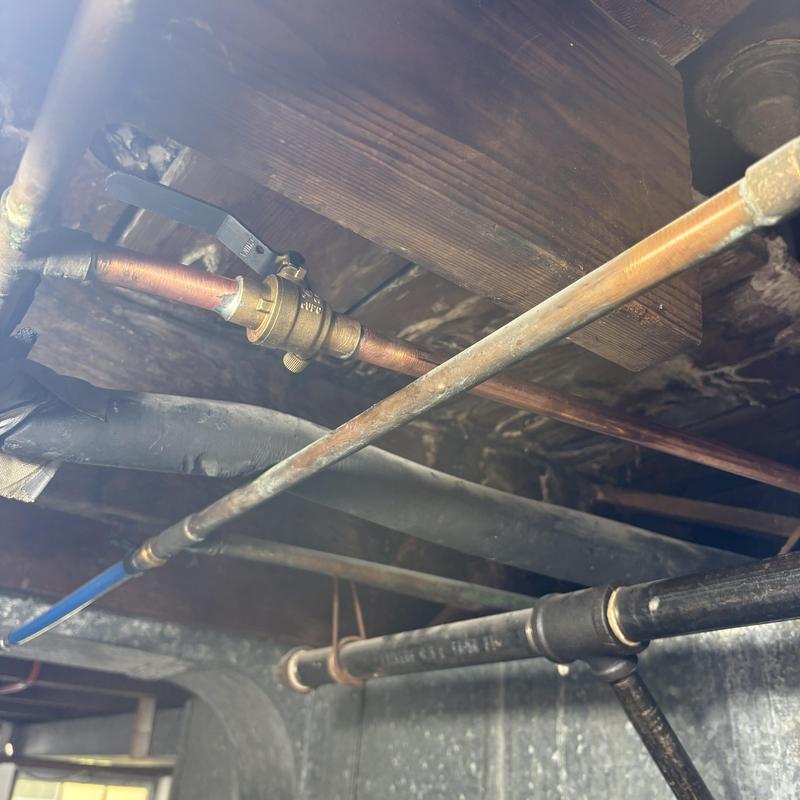 Shower valve and main shutoff with quarter-turn ball valves