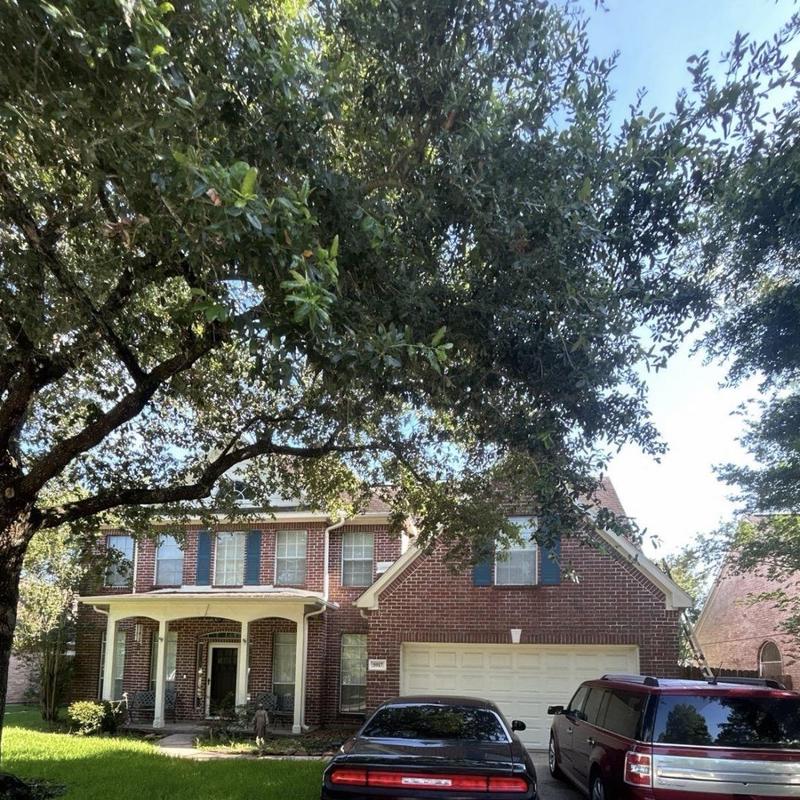 Asphalt shingle roof with tree debris and hail damage