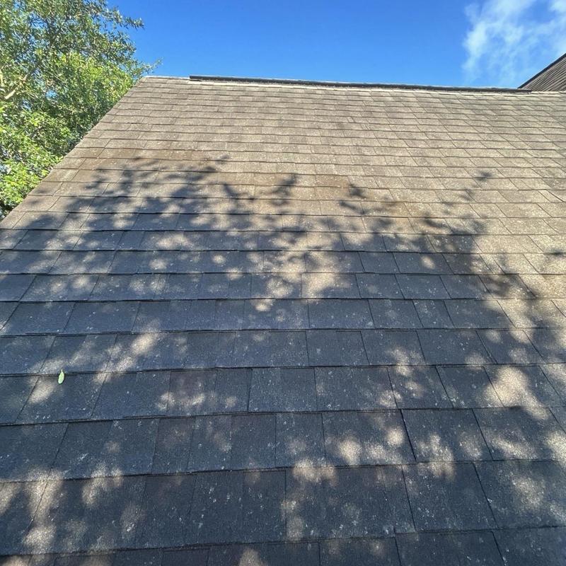 Asphalt shingle roof with hail damage and granule loss