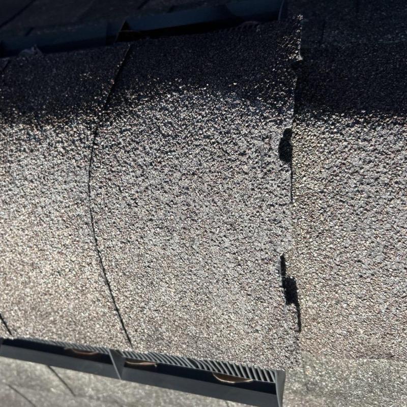 Asphalt shingle with hail damage and granule loss