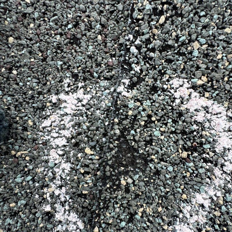 Roof shingle surface with hail impact damage marked in chalk