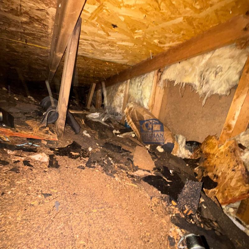 Roof decking with water damage and debris in attic Roof decking with water damage and debris in attic