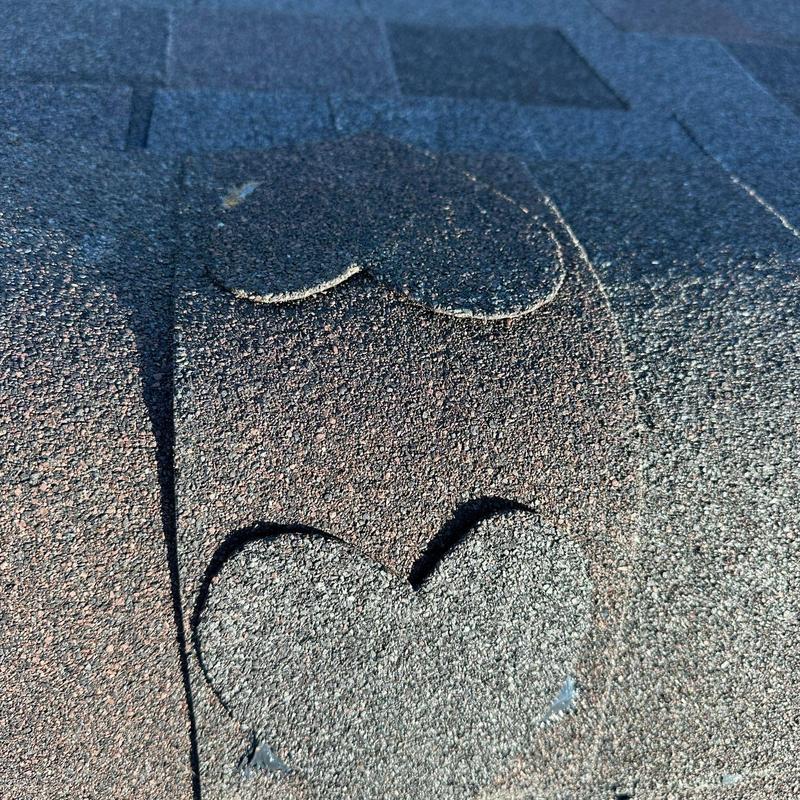 Tamko Titan XT Black Walnut shingle close-up installation Tamko Titan XT Black Walnut shingle close-up installation