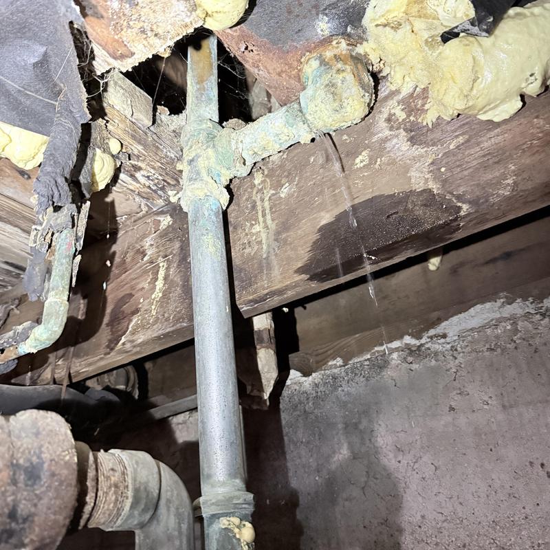 Leaking tub drain pipe under floor joists