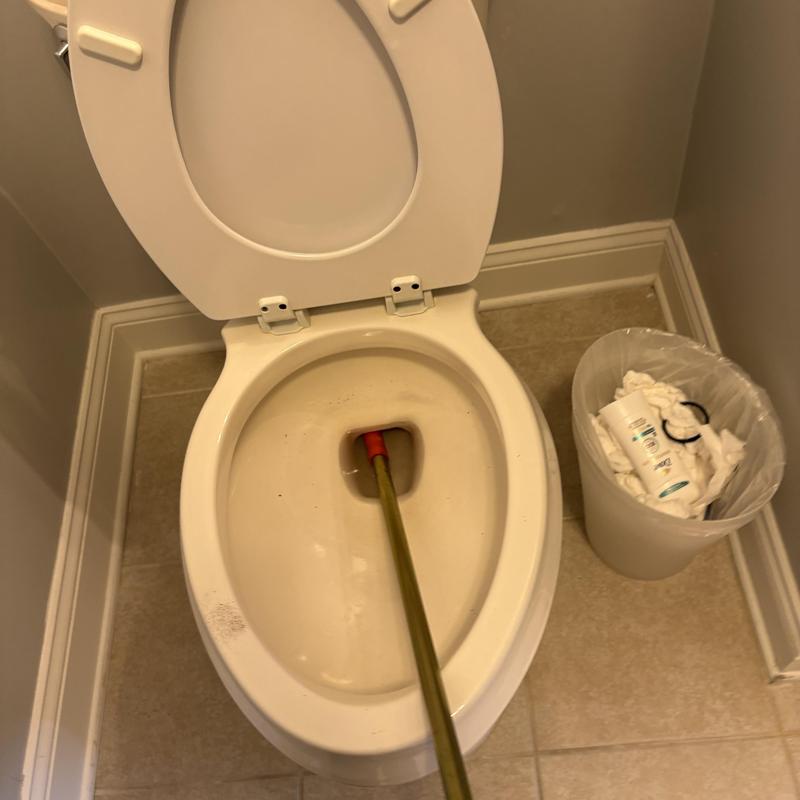 Toilet bowl auger clearing blockage in bathroom Toilet bowl auger clearing blockage in bathroom