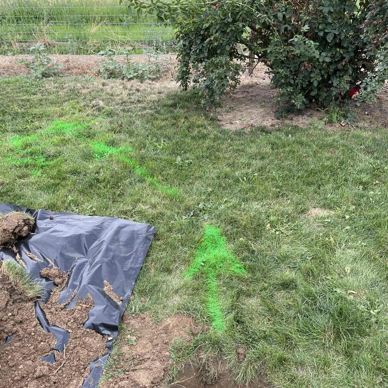 Drain field marked with green arrows for mapping