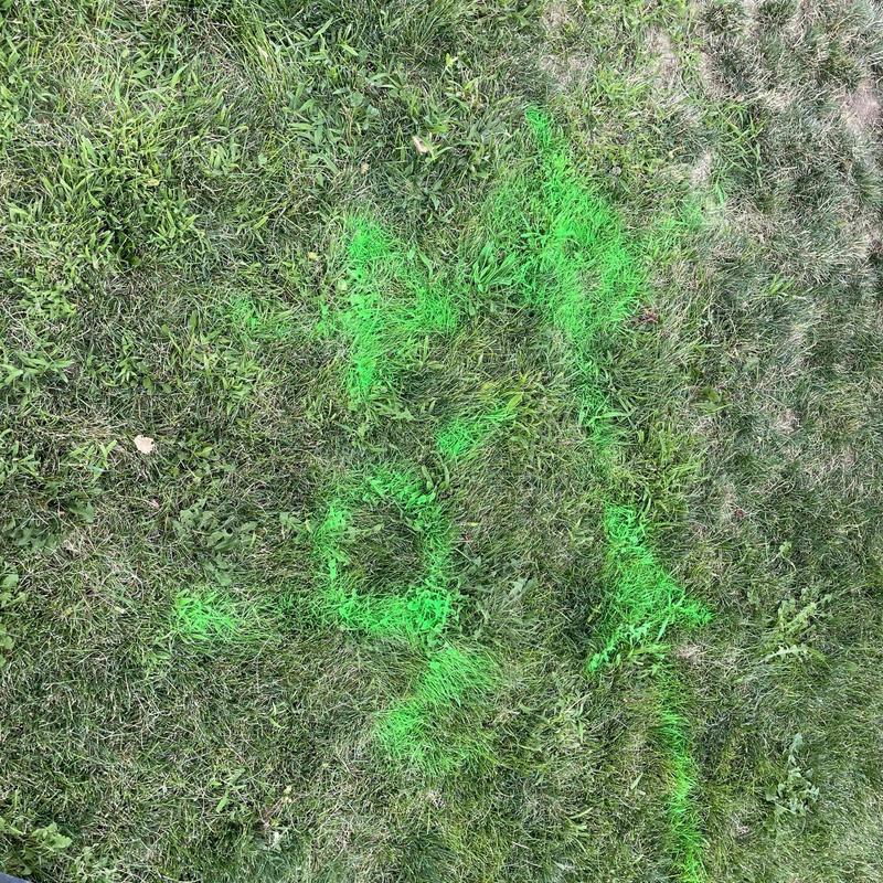 Septic system drain field marked with green spray paint