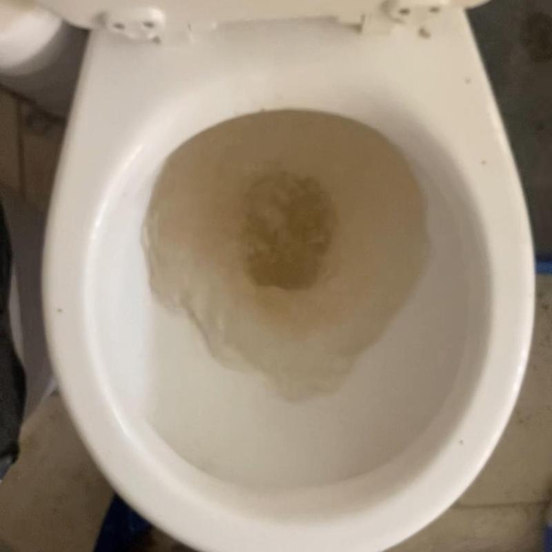 Toilet bowl with murky water during clearing service
