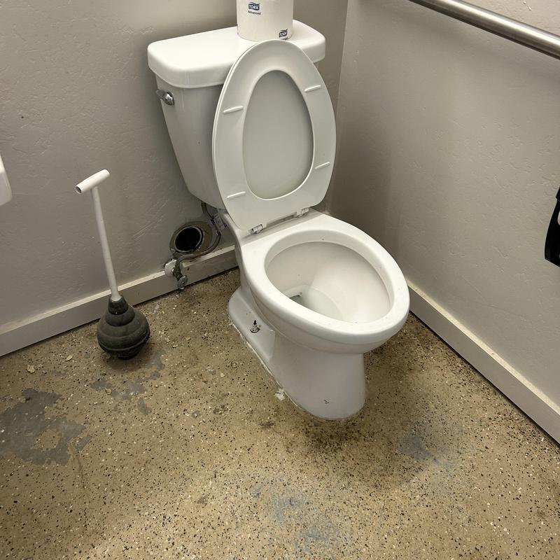 Toilet drain clearing with plunger in commercial restroom