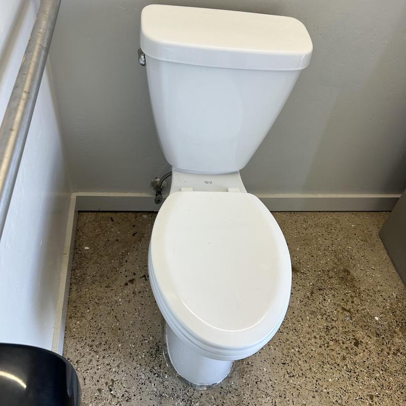 Toilet drain with back-to-back toilets unclogged