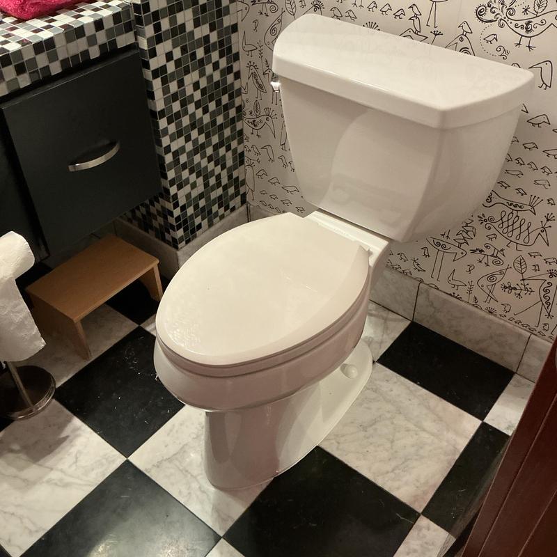 Pressure assist flush toilet installed in bathroom