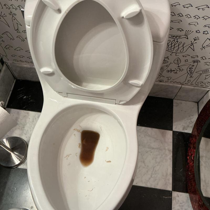 Pressure assist flush toilet installation in bathroom
