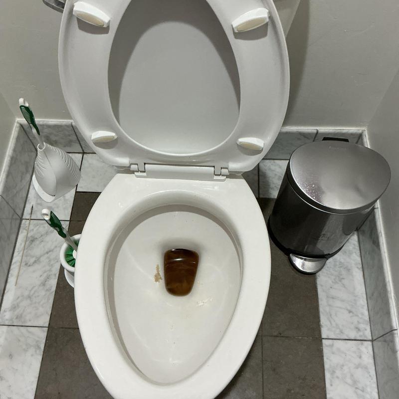 Pressure assist flush toilet bowl with open seat