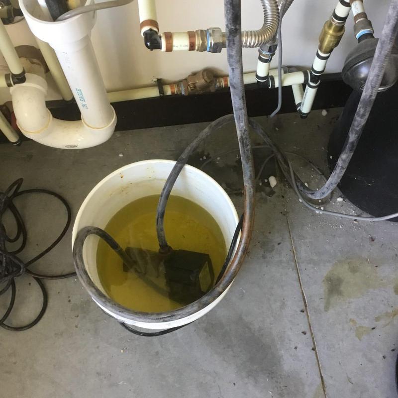 Tankless water heater descaling pump in bucket