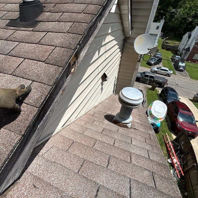 Damaged roof edge fascia and chimney flashing inspection