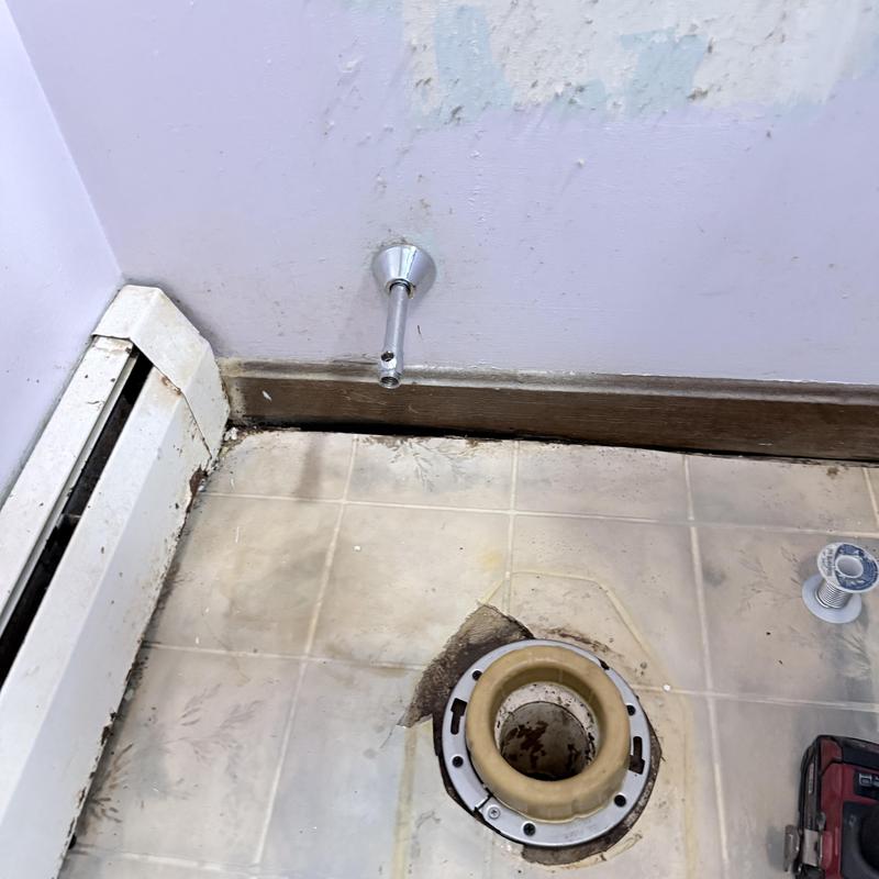 Toilet flange and emergency shutoff valve replacement site
